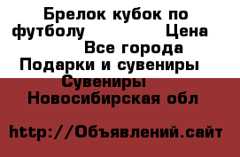 Брелок кубок по футболу Fifa 2018 › Цена ­ 399 - Все города Подарки и сувениры » Сувениры   . Новосибирская обл.